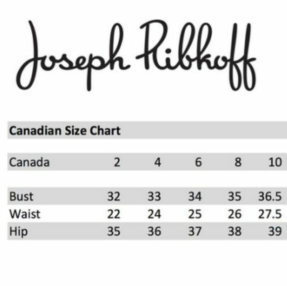 Joseph Ribkoff Metallic Leopard Print Dress - Picture 17 of 17